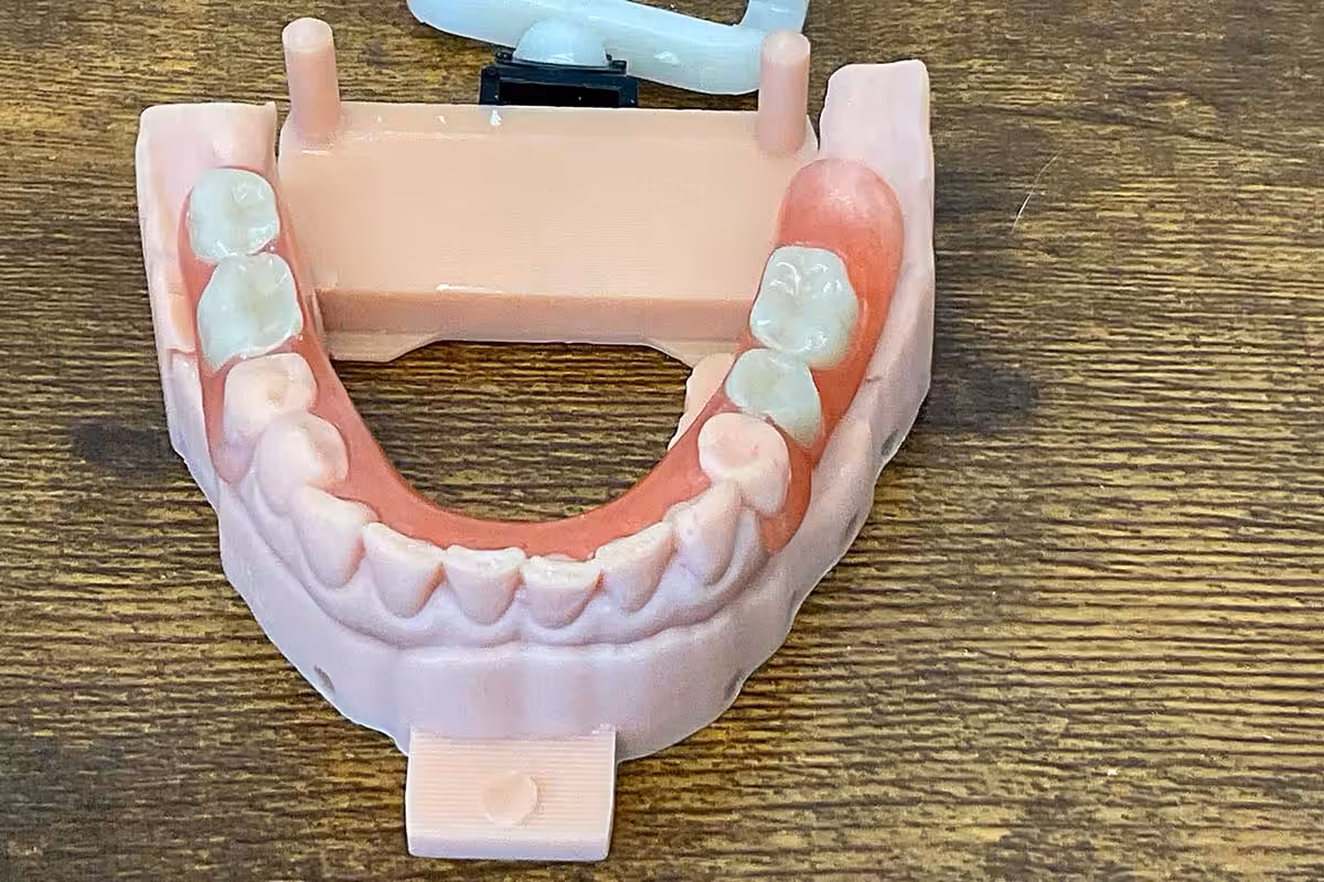 Lower Teeth Mold 12x8