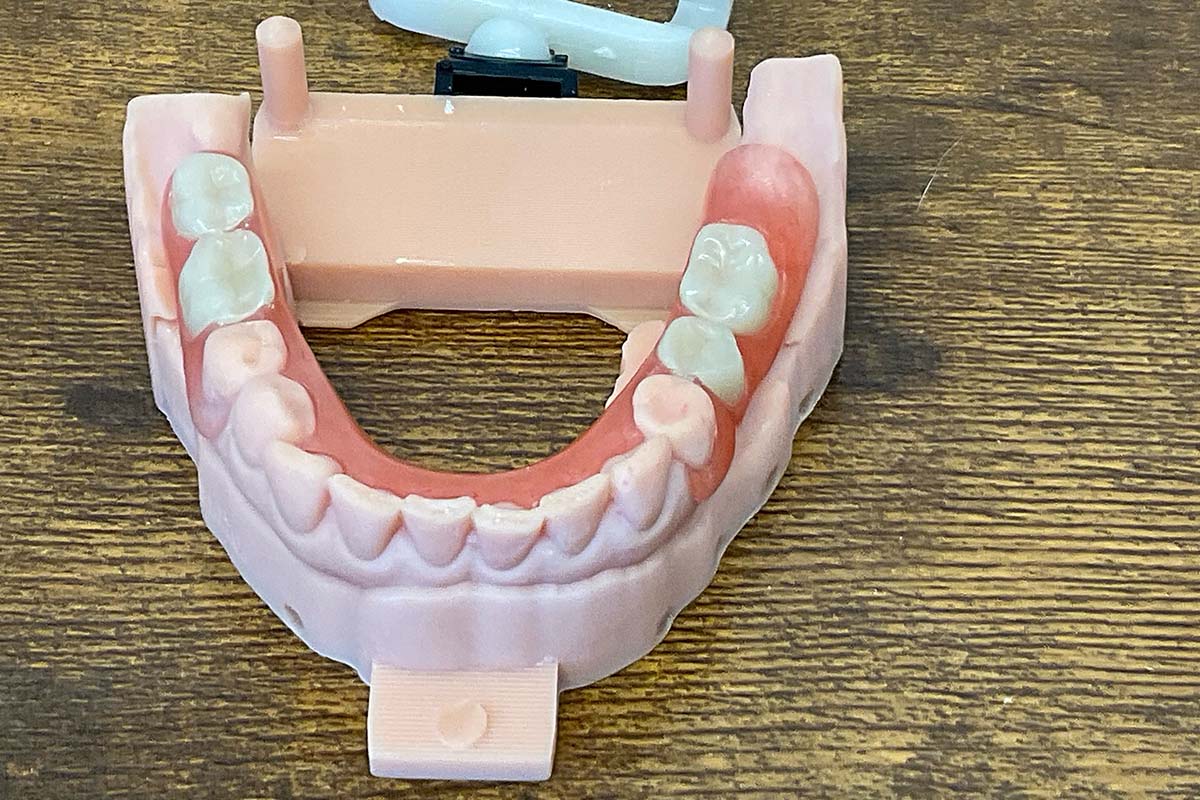 Lower Teeth Mold 12x8